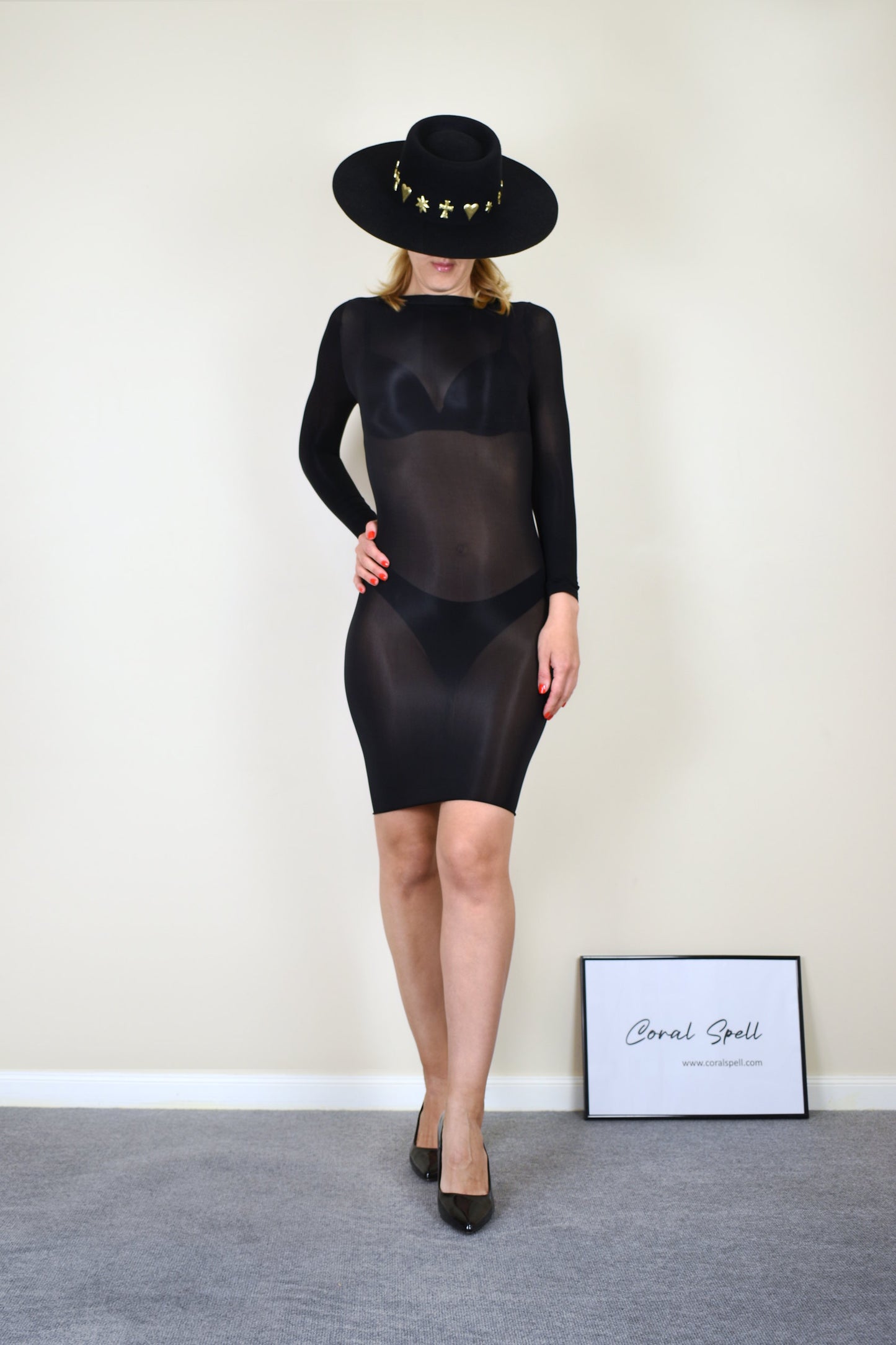 Glossy Sheer Long Sleeve Midi Dress