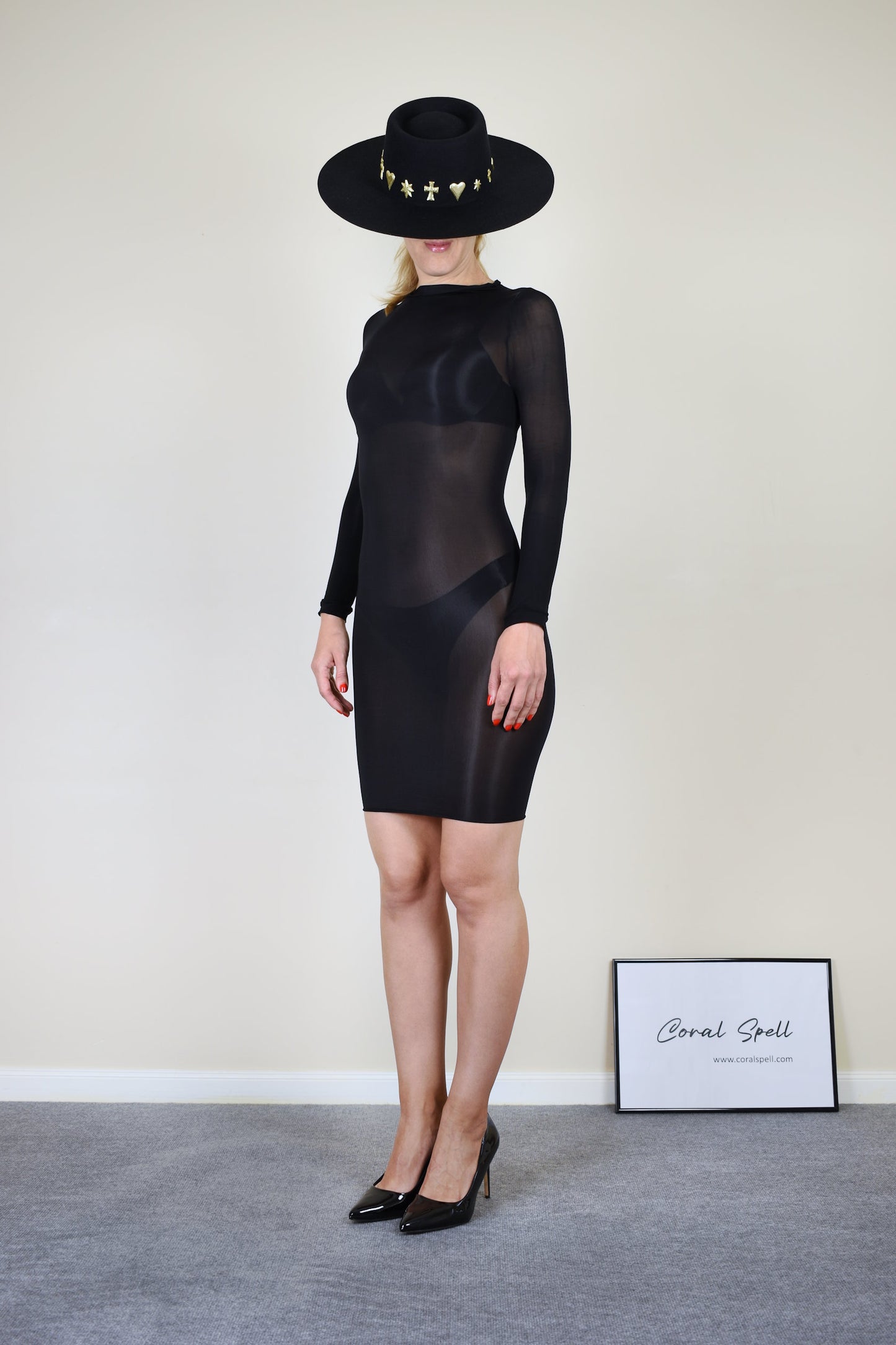 Glossy Sheer Long Sleeve Midi Dress